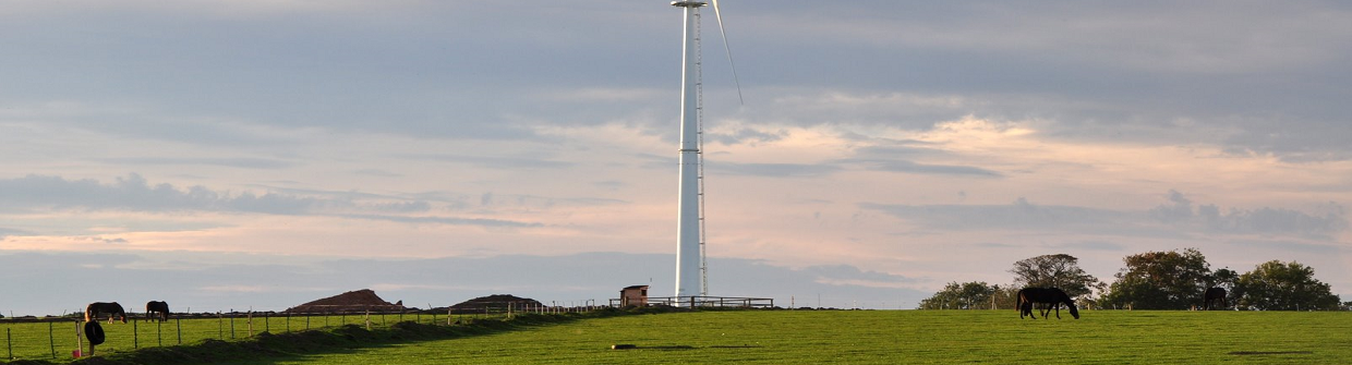 4.Investing-in-Wind-Landing-Page-OEM